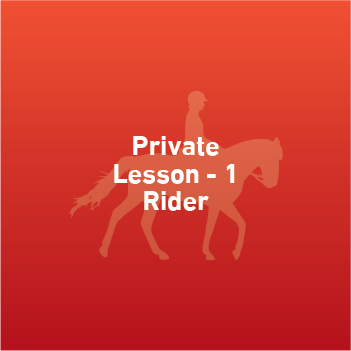 Private Lesson - 1 Rider (Own Horse)