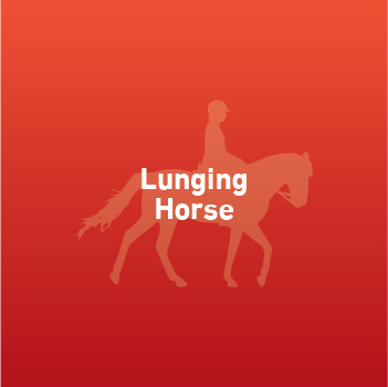 Lunging Horse