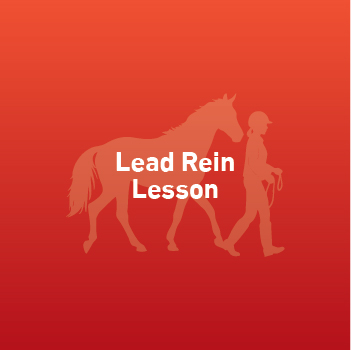 Lead Rein Lesson (Child above 6 years old)