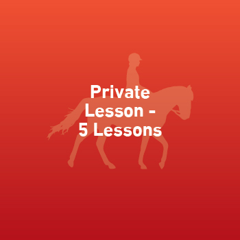 Private Lesson - (Prepaid Card-Own Horse)-5 Lessons