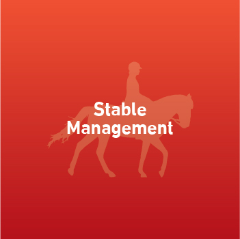 Stable Management